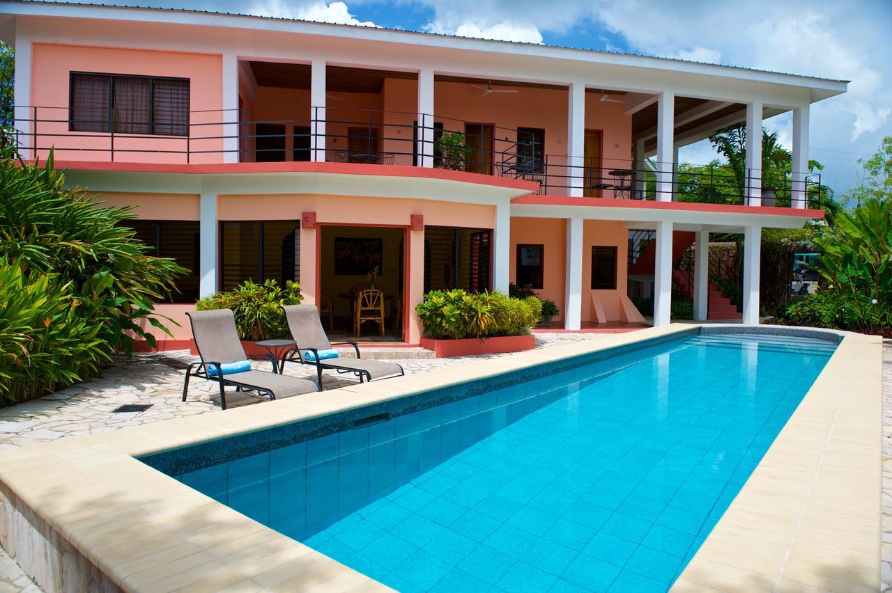 Coral House Bed and Breakfast Punta Gorda Eksteriør billede