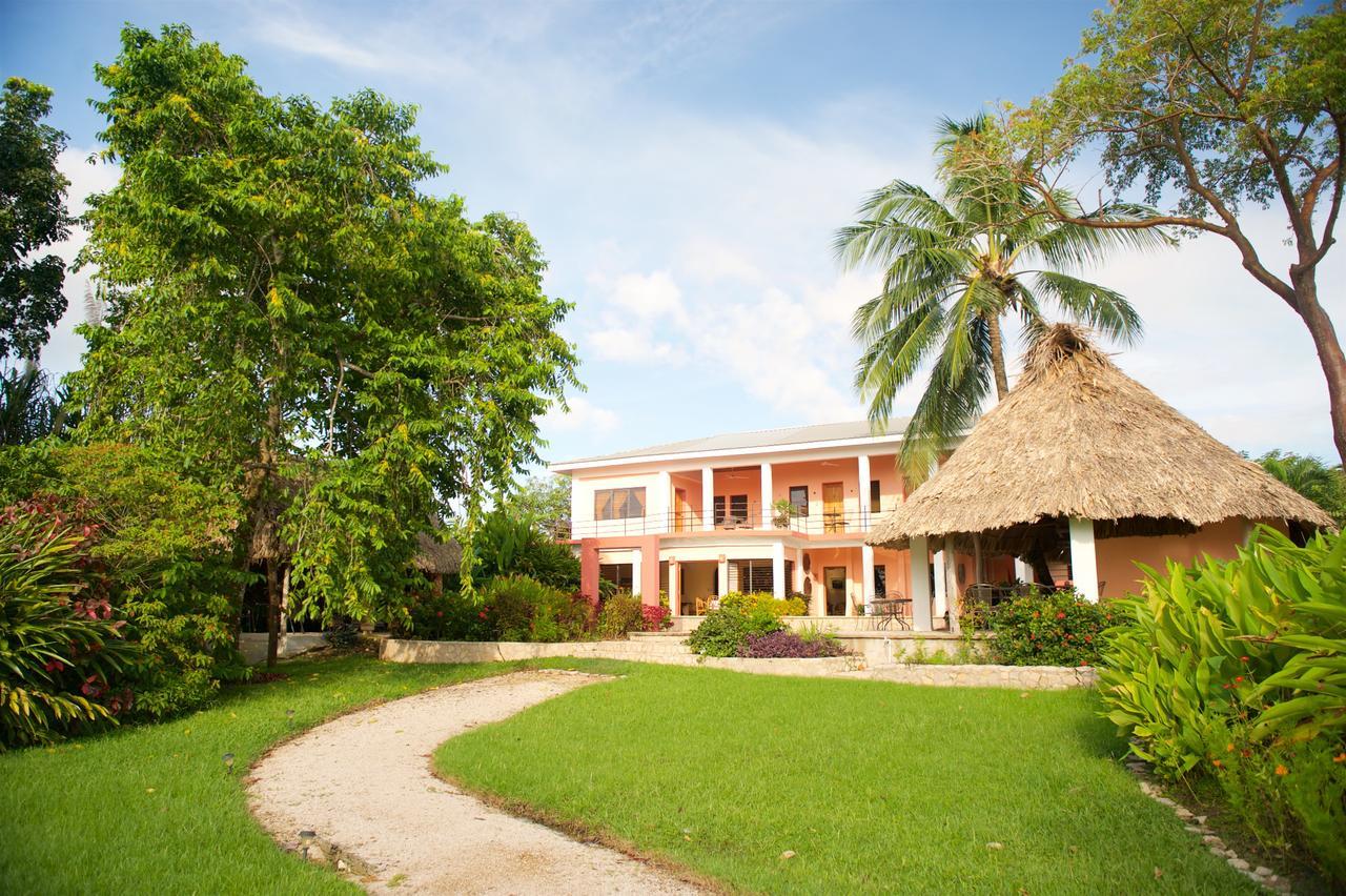 Coral House Bed and Breakfast Punta Gorda Eksteriør billede